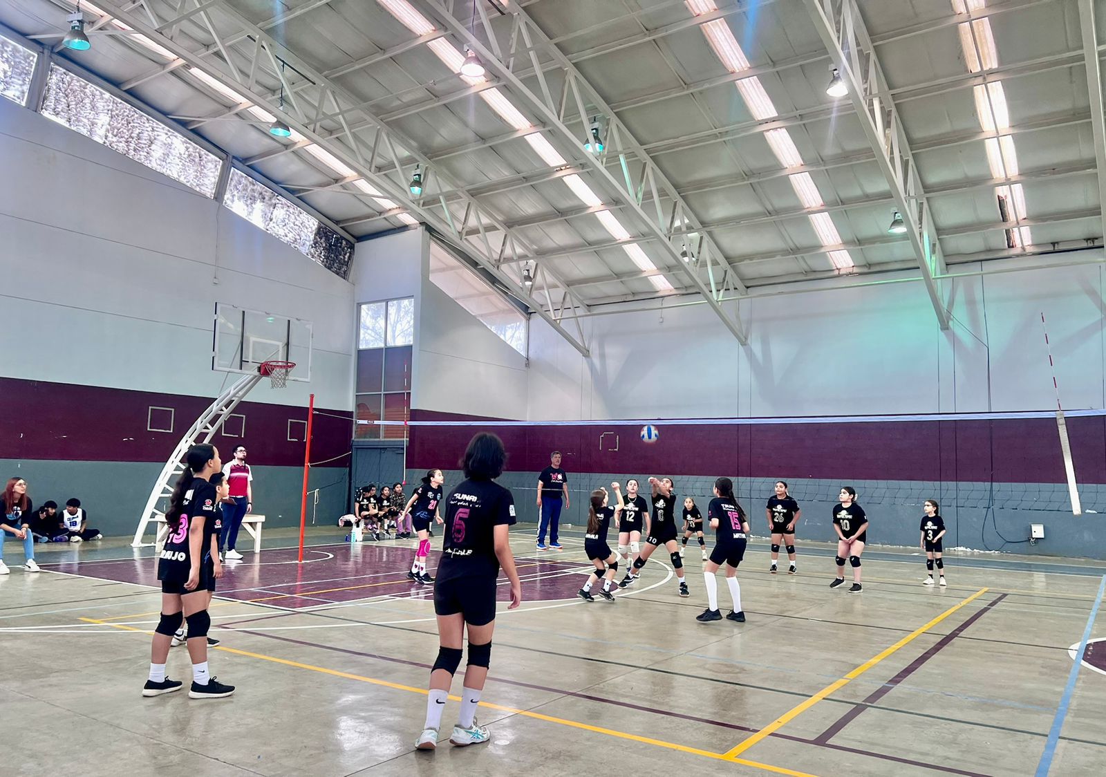 WhatsApp Image 2025-05-04 at 12.08.52 PM