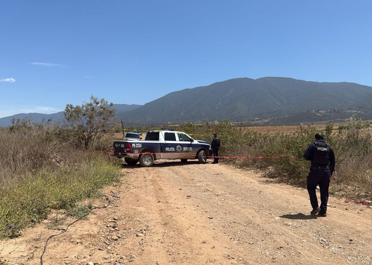 WhatsApp Image 2025-06-01 at 3.11.59 PM