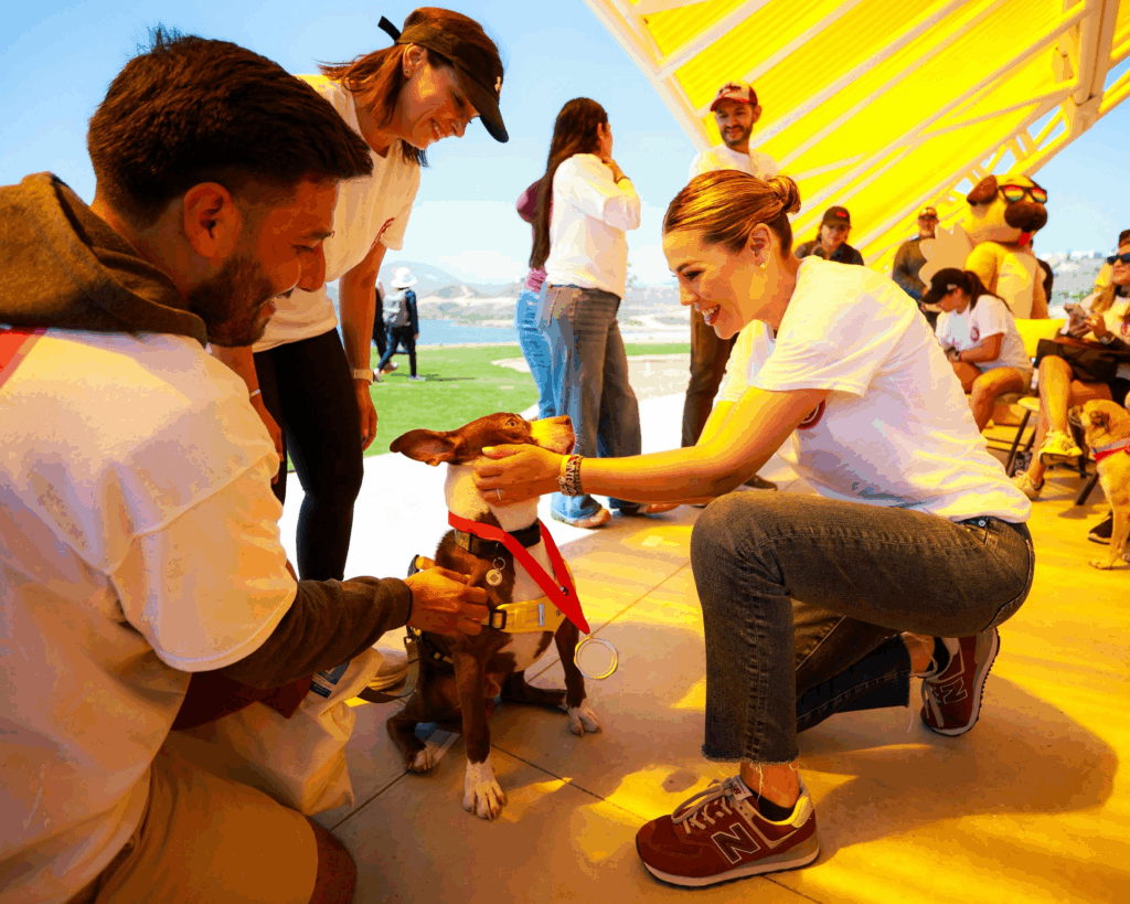image-75-1024x819.png