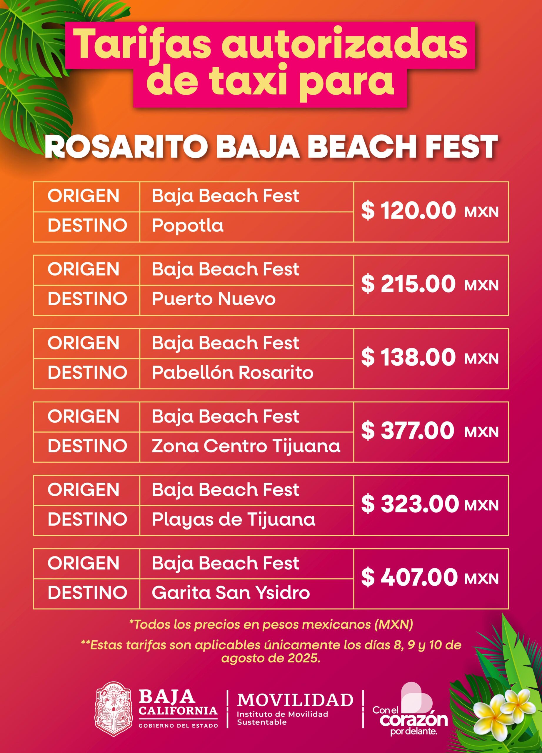 WhatsApp Image 2025-08-07 at 5.14.20 PM