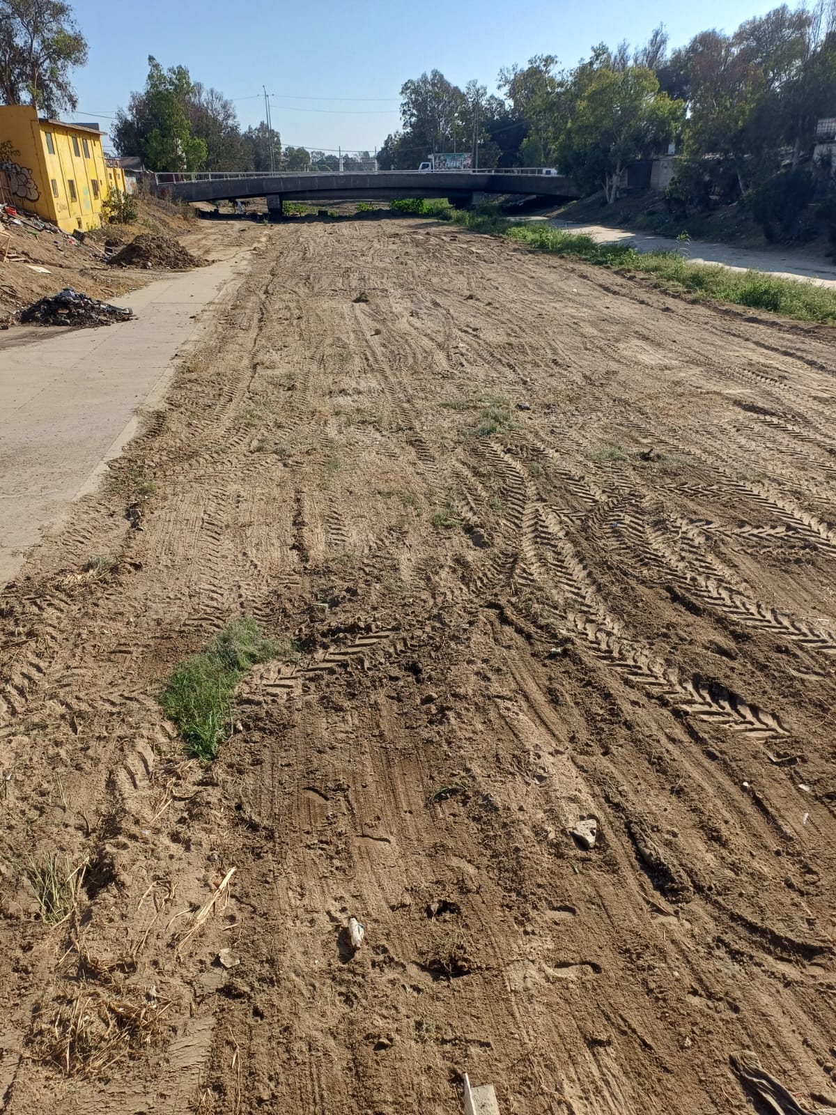 WhatsApp Image 2025-09-08 at 2.50.28 PM (1)