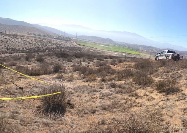 WhatsApp Image 2025-10-31 at 3.04.51 PM