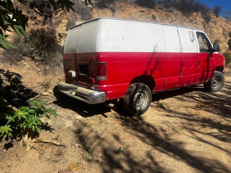 WhatsApp Image 2025-10-31 at 3.04.52 PM