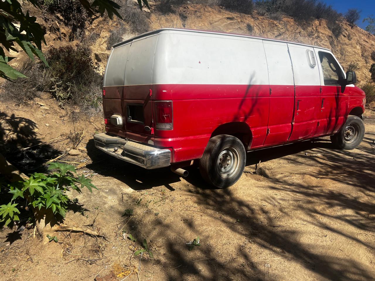 WhatsApp Image 2025-10-31 at 3.04.52 PM