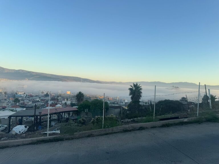 WhatsApp Image 2025-10-31 at 3.06.30 PM (1)