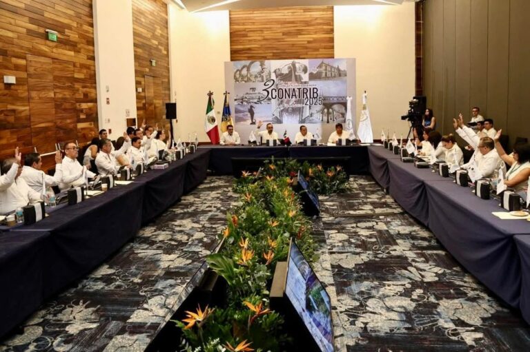 WhatsApp Image 2025-10-31 at 3.06.51 PM