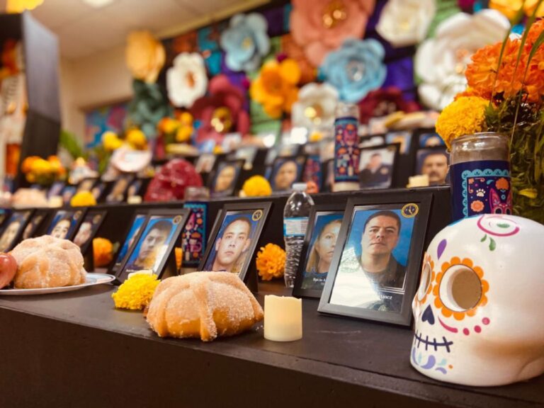 WhatsApp Image 2025-11-01 at 1.56.47 PM