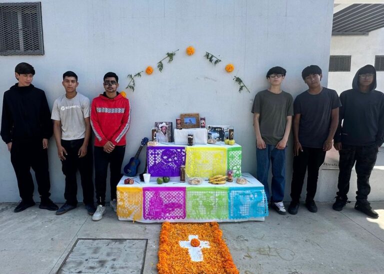 WhatsApp Image 2025-11-01 at 12.50.01 PM