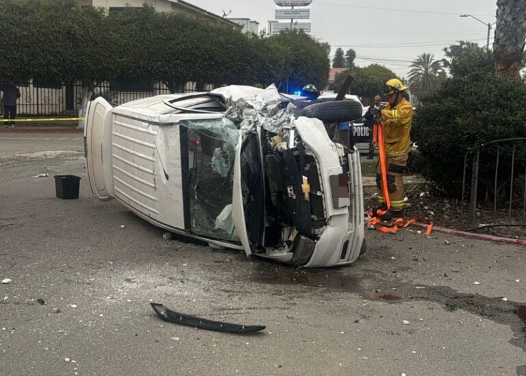 WhatsApp Image 2025-11-01 at 9.57.07 AM