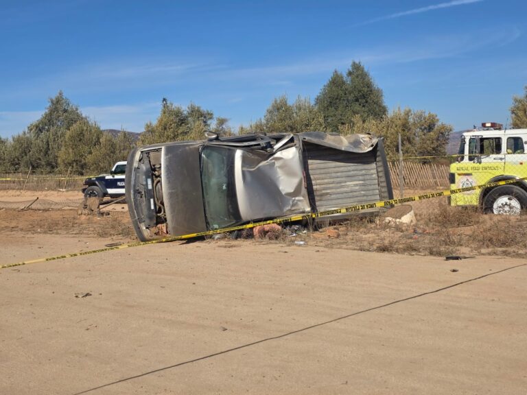 WhatsApp Image 2025-11-02 at 6.41.24 PM