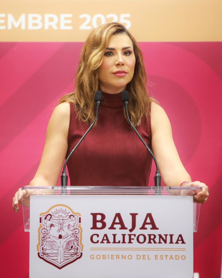 WhatsApp Image 2025-11-05 at 5.56.06 PM