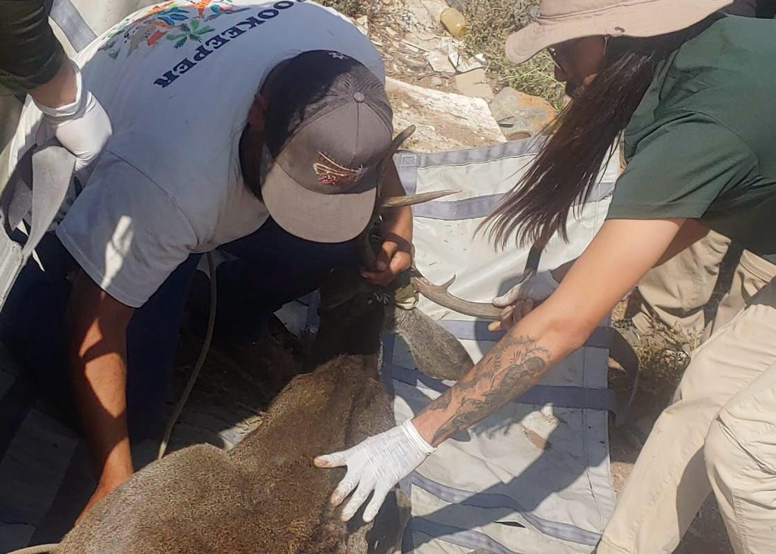 WhatsApp Image 2025-11-07 at 2.57.53 PM