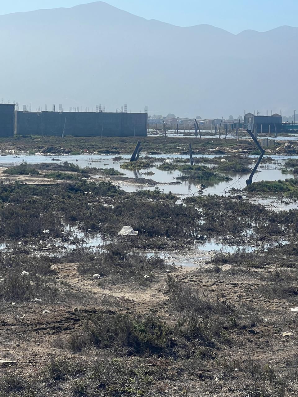 WhatsApp Image 2025-11-07 at 5.00.27 PM