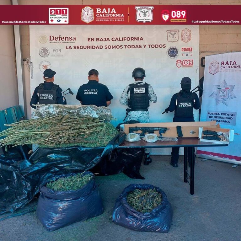 WhatsApp Image 2025-11-07 at 5.00.48 PM