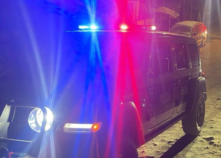 WhatsApp Image 2025-11-08 at 3.43.09 PM (1)