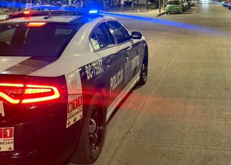 WhatsApp Image 2025-11-09 at 1.10.39 PM