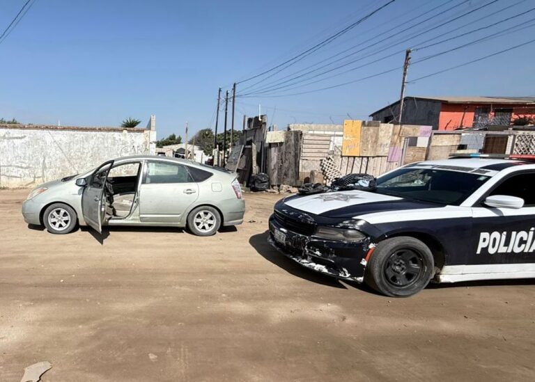 WhatsApp Image 2025-11-10 at 2.55.57 PM