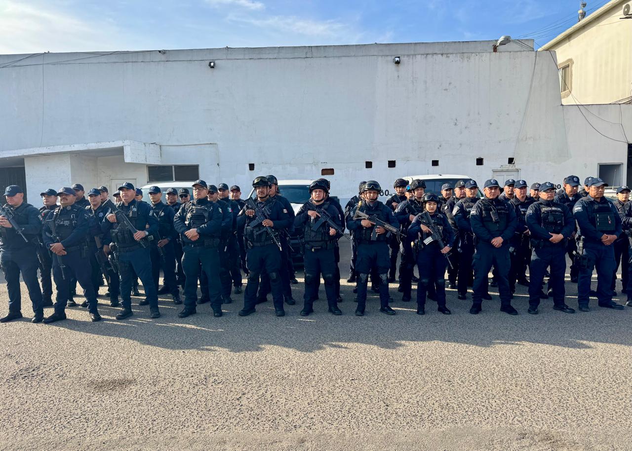 WhatsApp Image 2025-11-12 at 12.37.12 PM