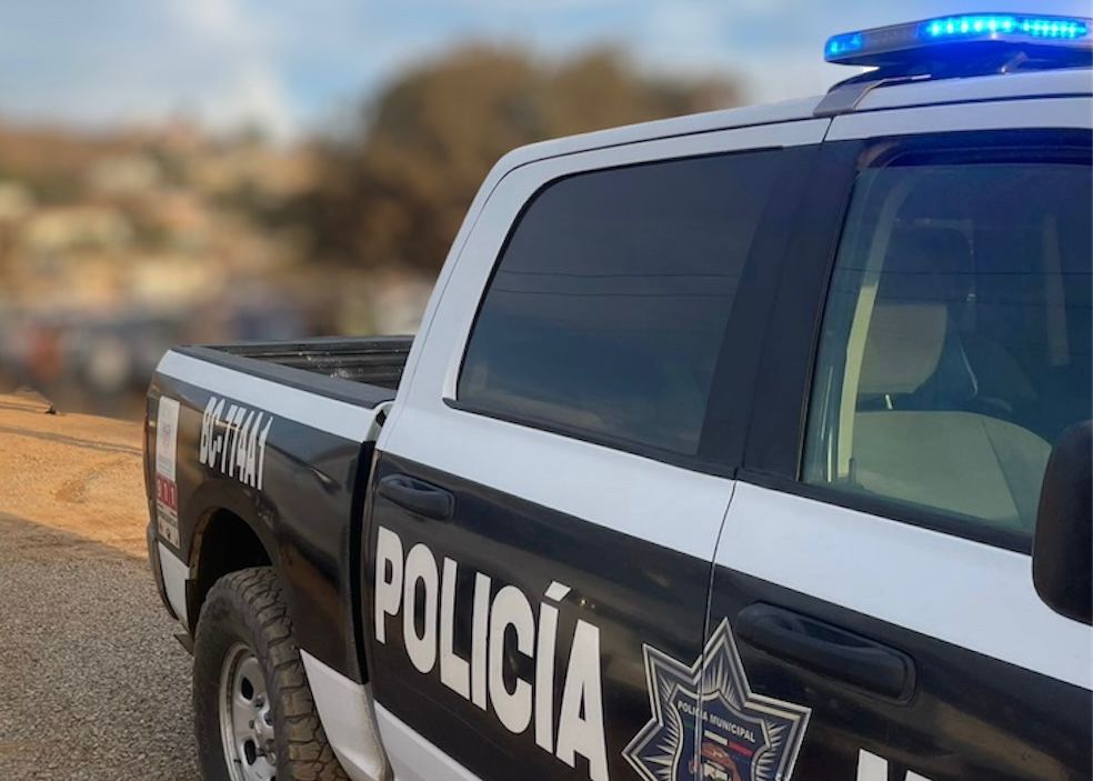 WhatsApp Image 2025-11-12 at 2.26.57 PM (1)