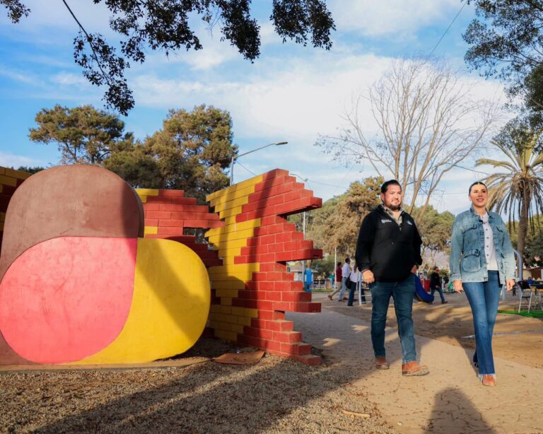 WhatsApp Image 2025-11-12 at 2.57.10 PM