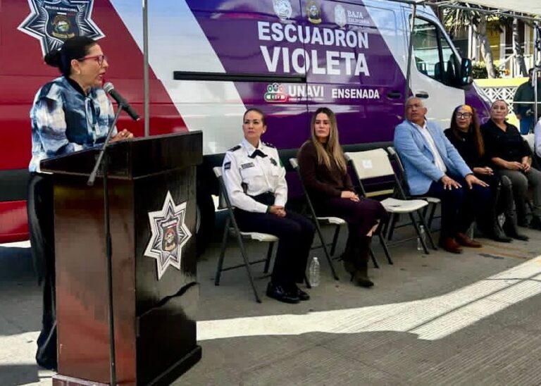 WhatsApp Image 2025-11-13 at 3.05.33 PM