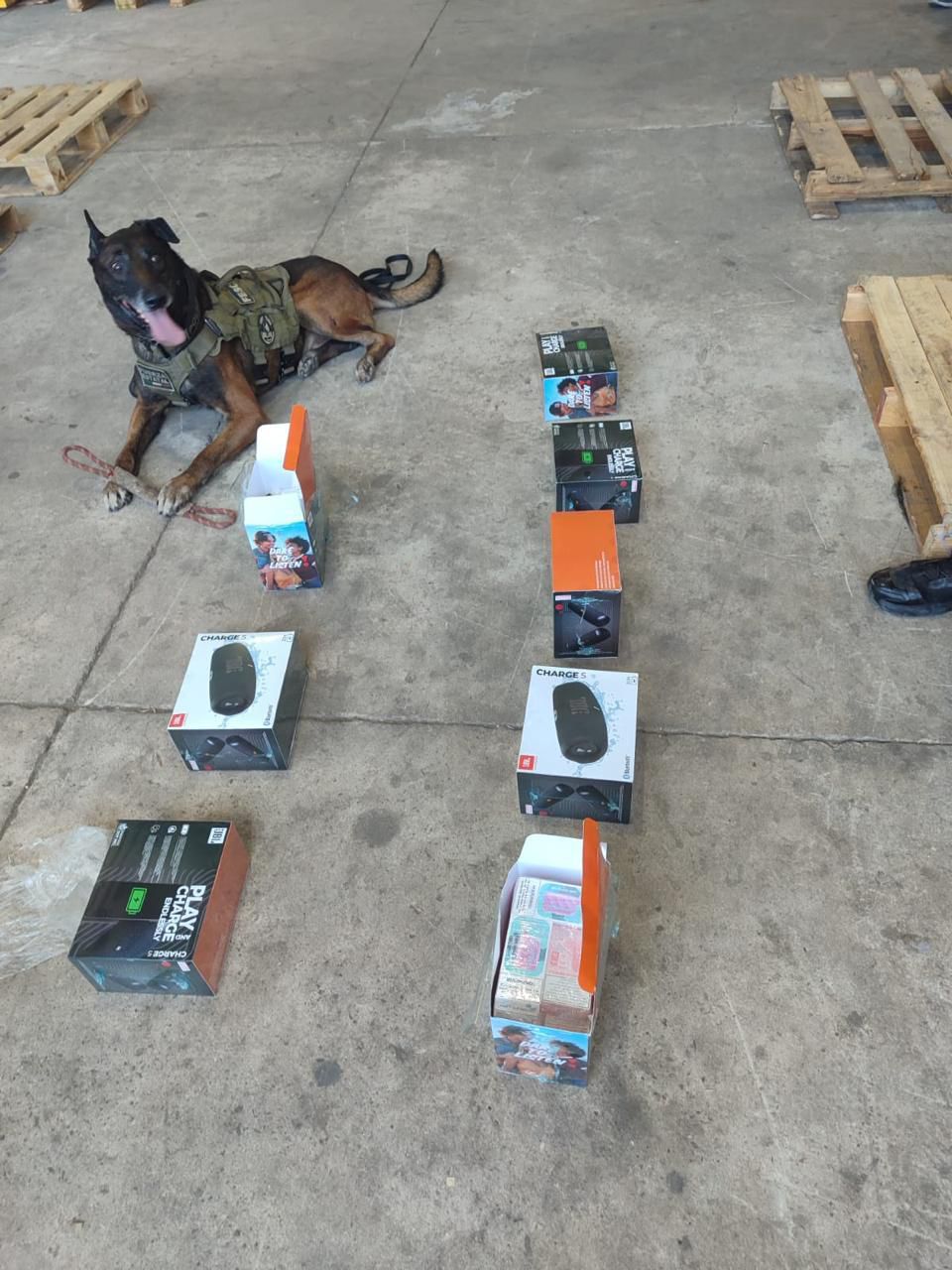 WhatsApp Image 2025-11-13 at 3.10.33 PM