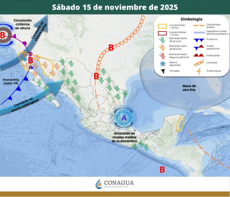 WhatsApp Image 2025-11-14 at 7.37.55 AM