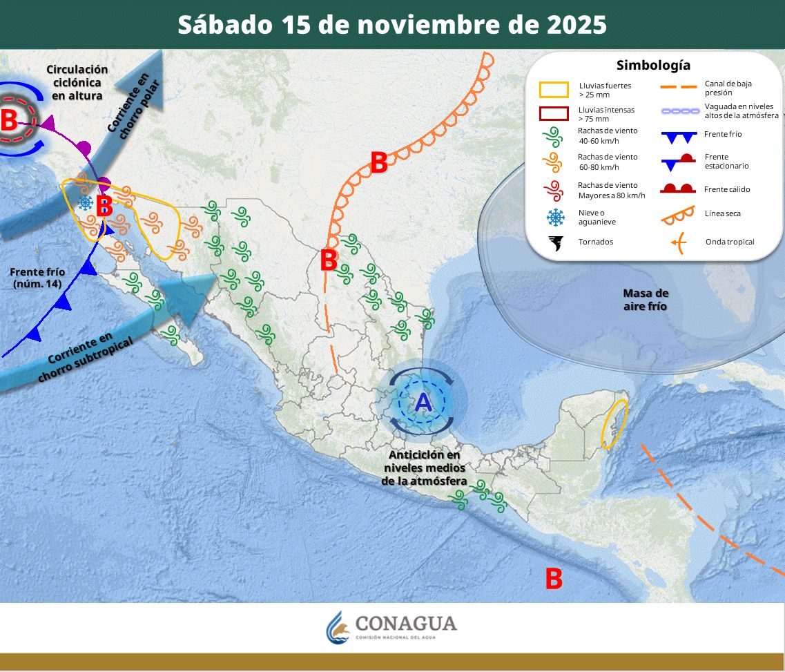 WhatsApp Image 2025-11-14 at 7.37.55 AM