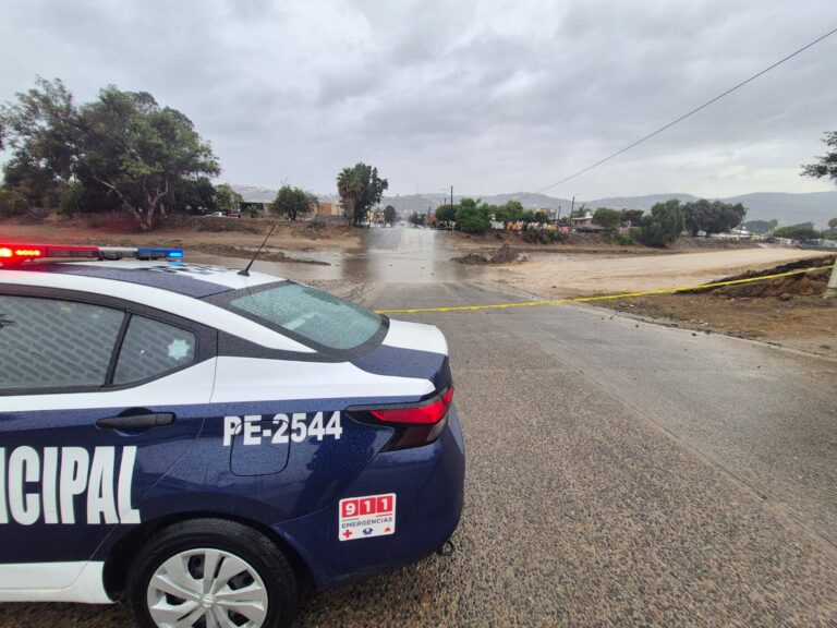 WhatsApp Image 2025-11-15 at 11.51.33 AM