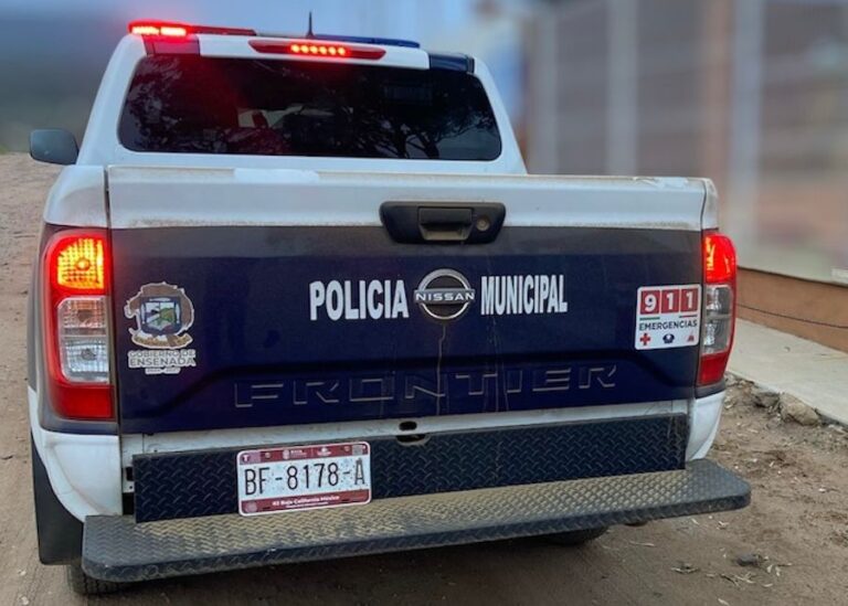 WhatsApp Image 2025-11-15 at 3.53.56 PM