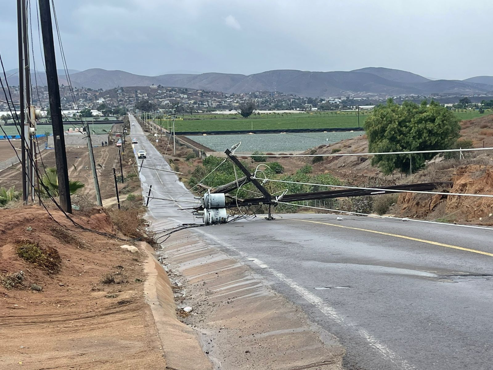 WhatsApp Image 2025-11-15 at 3.53.57 PM (1)