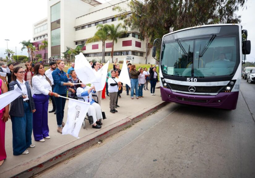 WhatsApp Image 2025-11-16 at 5.15.56 PM