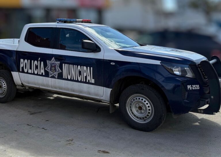 WhatsApp Image 2025-11-17 at 12.08.17 PM