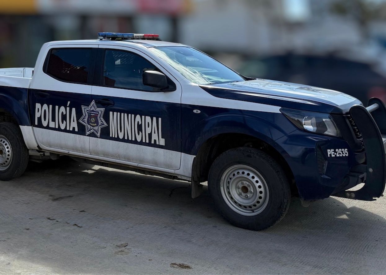 WhatsApp Image 2025-11-17 at 12.08.17 PM