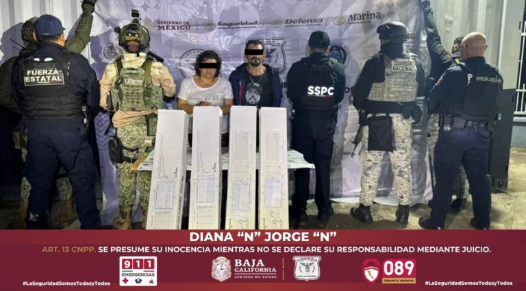 WhatsApp Image 2025-11-17 at 12.27.58 PM