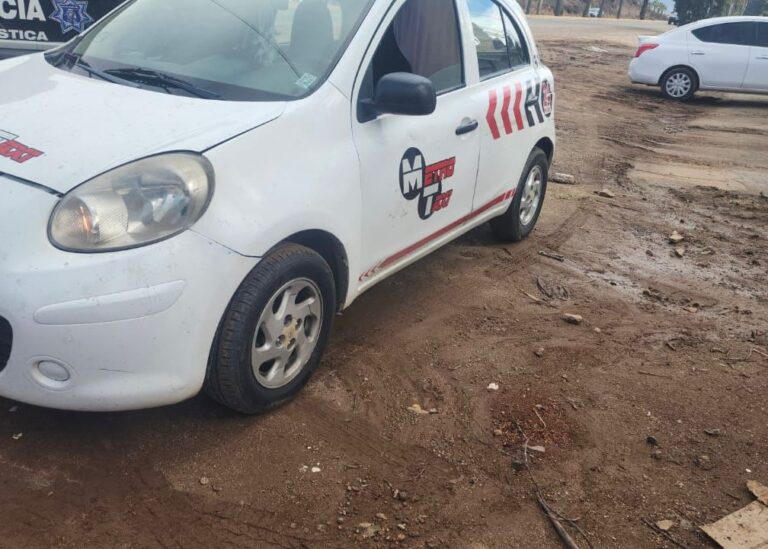 WhatsApp Image 2025-11-17 at 2.52.08 PM