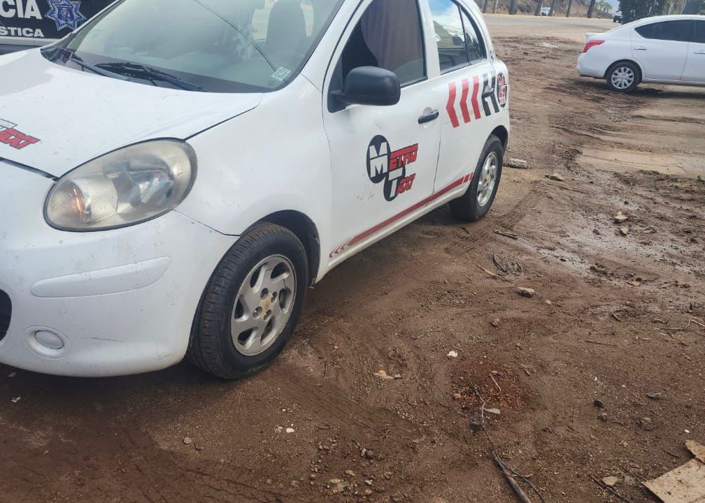 WhatsApp Image 2025-11-17 at 2.52.08 PM