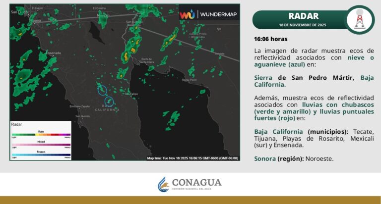 WhatsApp Image 2025-11-18 at 2.43.27 PM (1)