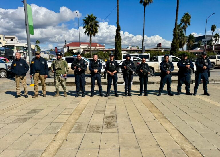 WhatsApp Image 2025-11-18 at 4.46.53 PM (1)