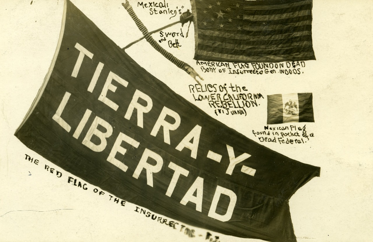 WhatsApp Image 2025-11-19 at 3.30.03 PM (1)