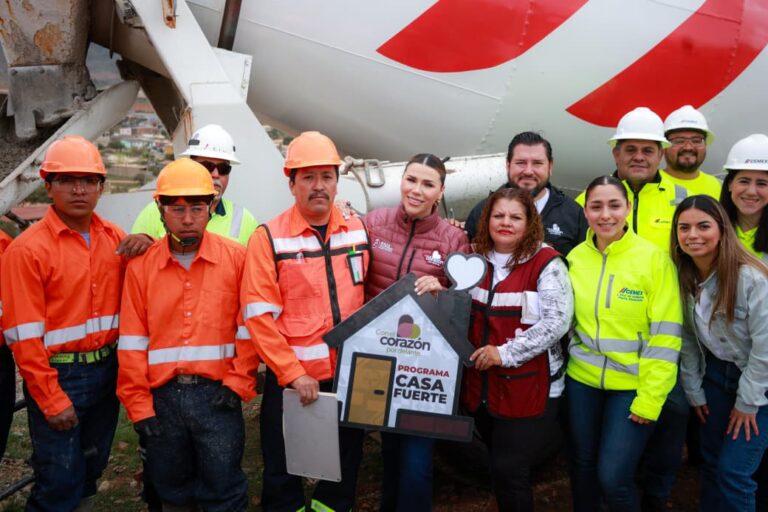 WhatsApp Image 2025-11-19 at 3.31.28 PM