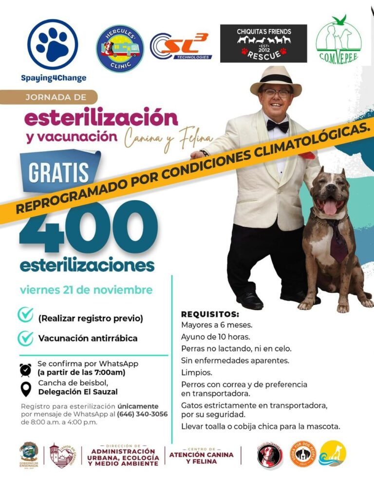 WhatsApp Image 2025-11-20 at 3.37.25 PM