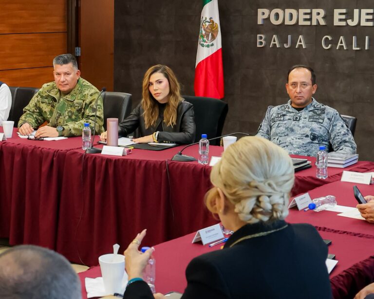 WhatsApp Image 2025-11-24 at 1.07.35 PM