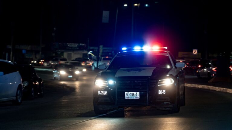 WhatsApp Image 2025-11-24 at 11.42.50 AM