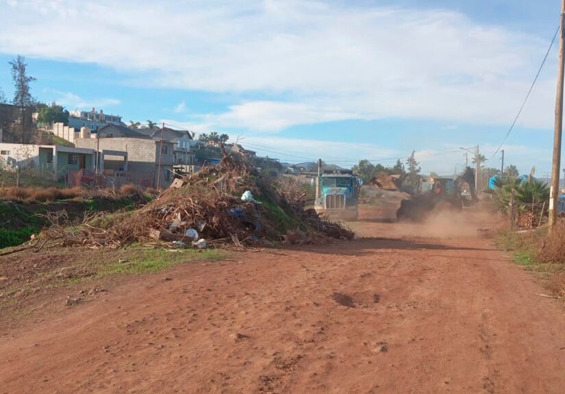 WhatsApp Image 2025-11-29 at 10.16.14 AM