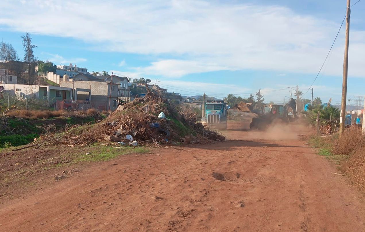 WhatsApp Image 2025-11-29 at 10.16.14 AM