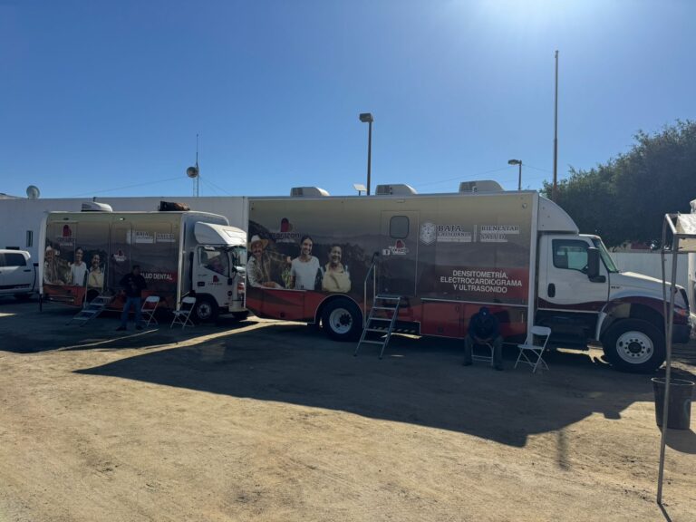 WhatsApp Image 2025-11-29 at 12.39.50 PM