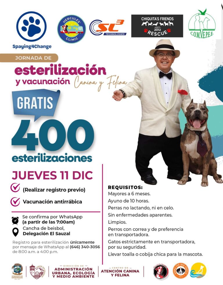 WhatsApp Image 2025-11-30 at 4.57.46 PM (1)