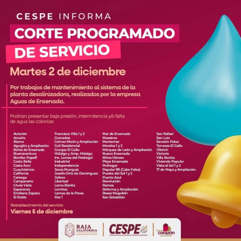 WhatsApp Image 2025-12-01 at 6.17.46 PM