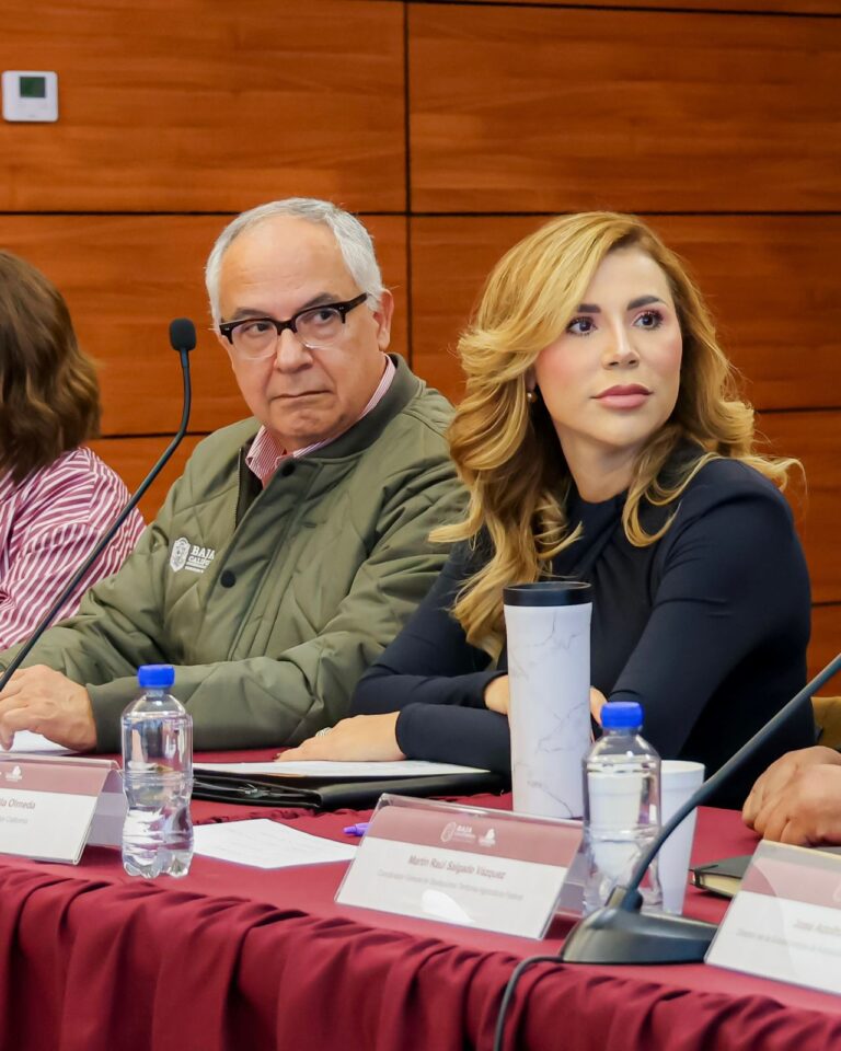 WhatsApp Image 2025-12-02 at 6.48.52 PM